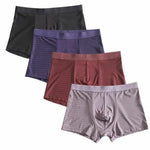 Load image into Gallery viewer, ❄️ 4-Pack Boxer Briefs - Bamboo Fiber Panties 🌿
